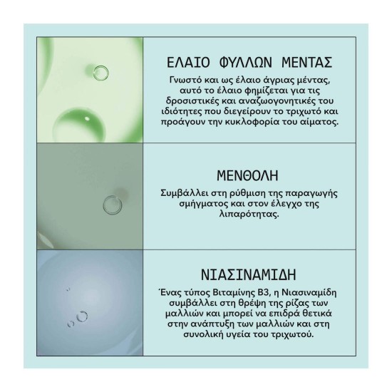 Nioxin Scalp Recovery Kit (Purifying Shampoo 200ml, Moisturising Conditioner 200ml, Soothing Serum 100ml) 500ml Nioxin Scalp Recovery Kit (Purifying Shampoo 200ml, Moisturising Conditioner 200ml, Soothing Serum 100ml) 500ml