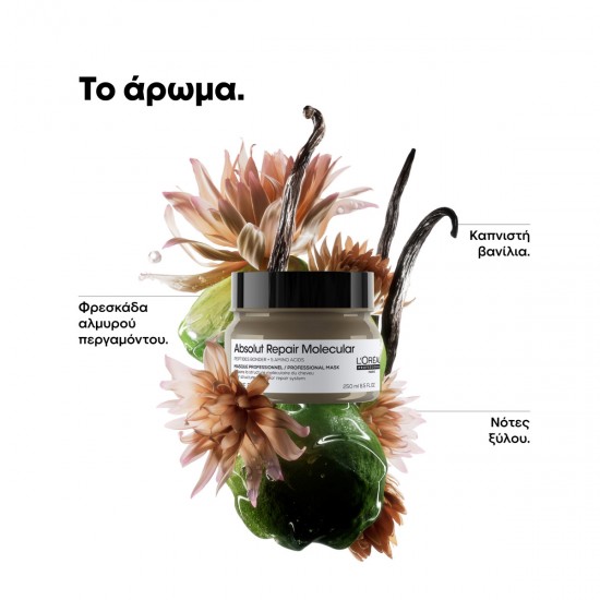 LOREAL ABSOLUT REPAIR MOLECULAR MASK 250ml LOREAL ABSOLUT REPAIR MOLECULAR MASK 250ml