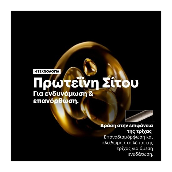 LOREAL PROFESSIONNEL ABSOLUT REPAIR ΓΙΑ ΕΝΤΑΤΙΚΗ ΑΝΑΔΟΜΗΣΗ TRIO GIFT SET  (Shampoo 300ml, Mask 250ml & Oil 90ml)